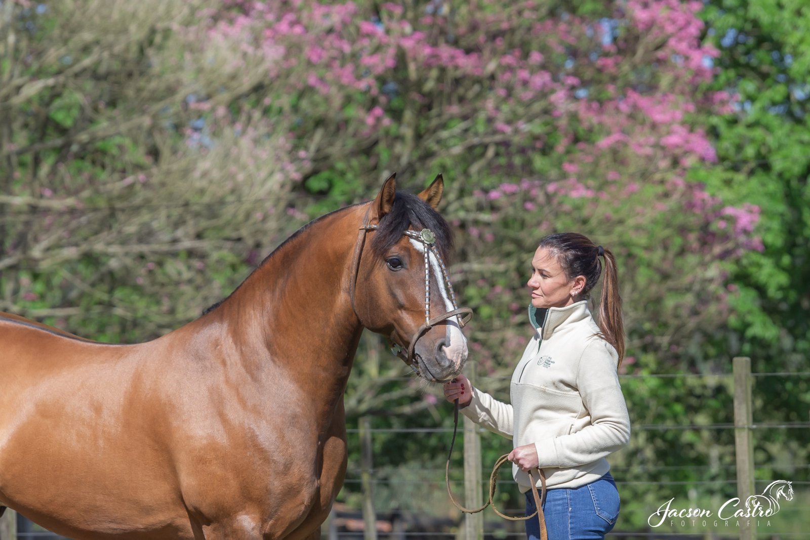 GOMENSORO DE SANTA MÁRCIA - TE_IMG_8023