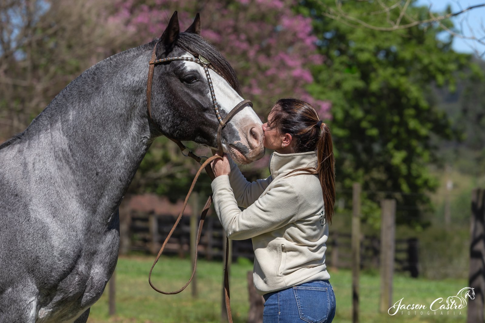 OSORNO DO ITAÓ_IMG_8347